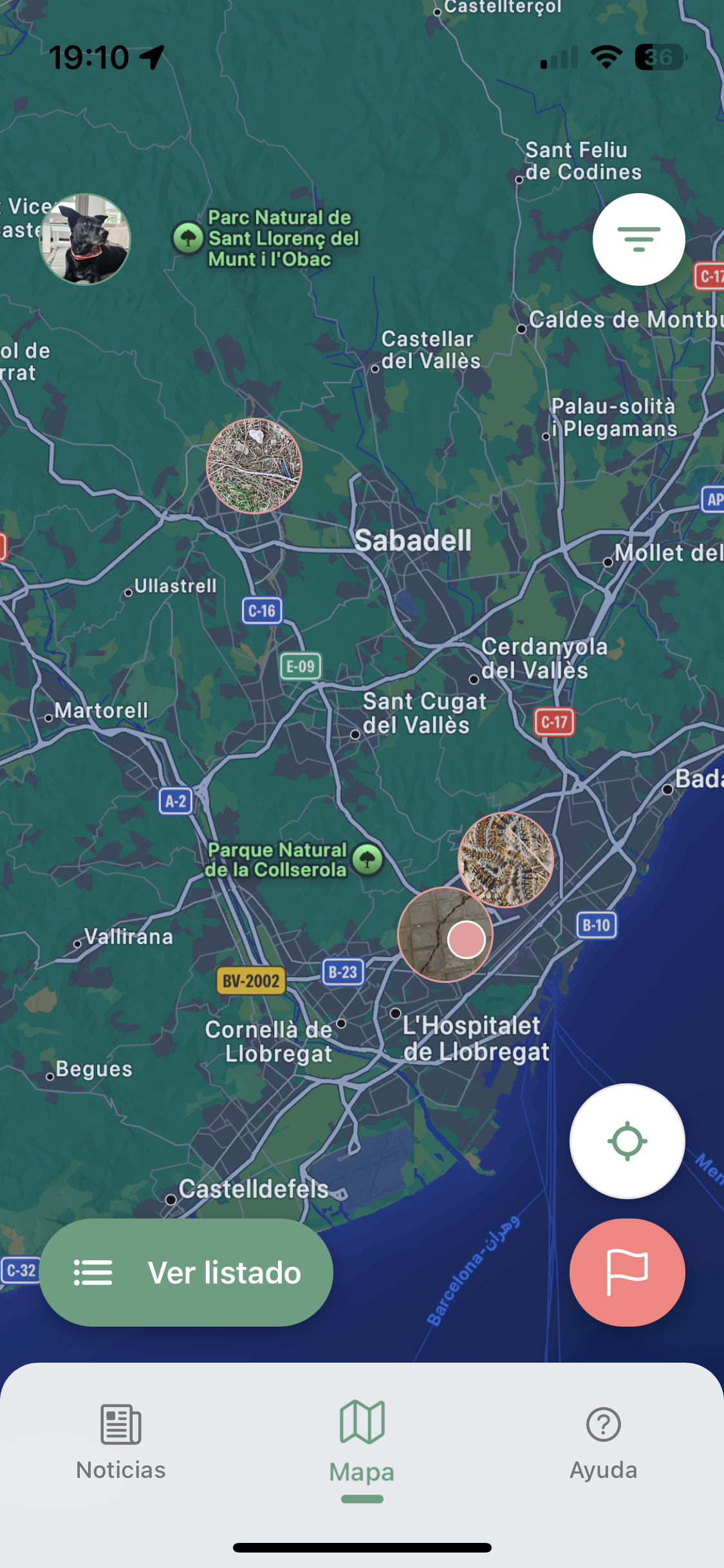 Captura de pantalla de ProcesionariApp mostrando el mapa de avistamientos